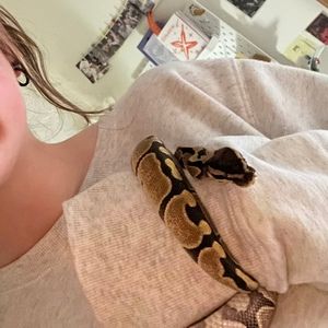 Meet your Posher, Lily